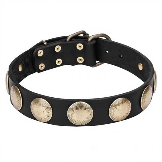 C108 - PRICE LEVEL 2 - Leather Dog Collar with Brass Circles