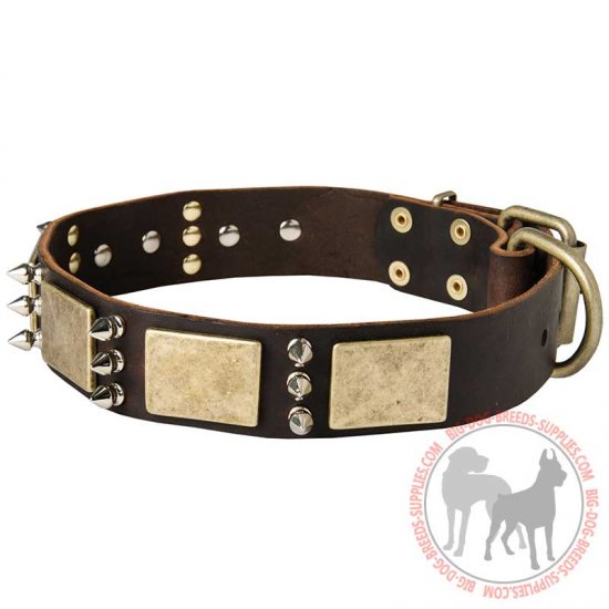 C84 - PRICE LEVEL 2 - Wide Leather Decorated Dog Collar with Vintage Plates and Spikes for Big Breeds
