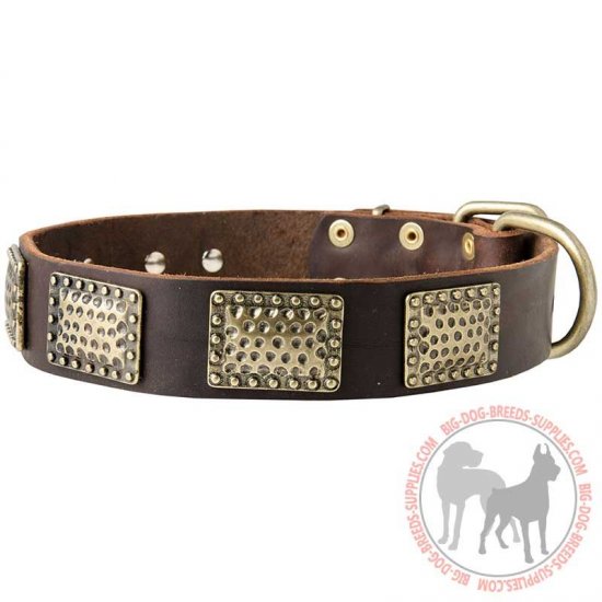 C89 - PRICE LEVEL 2 - Leather Dog Collar with Hammered Vintage BRASS Plates