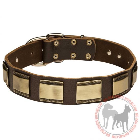 C88 - PRICE LEVEL 2 - Unusually Decorated Leather Dog Collar With Brass Plates