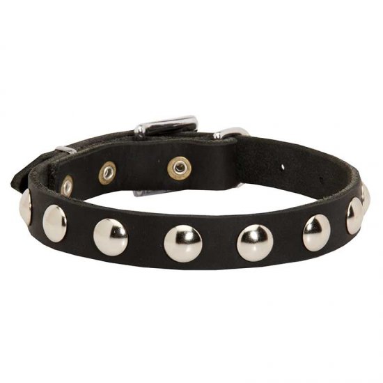 C112 - PRICE LEVEL 2 - Leather Dog Collar with Nickel Half-Ball Studs
