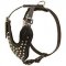 H16 - PRICE LEVEL 2 - Strong Leather Harness with Nickel Pyramids for Daily Walking