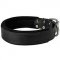 C24 - PRICE LEVEL 2 - Attack Training Leather Dog Collar with Inner Padding