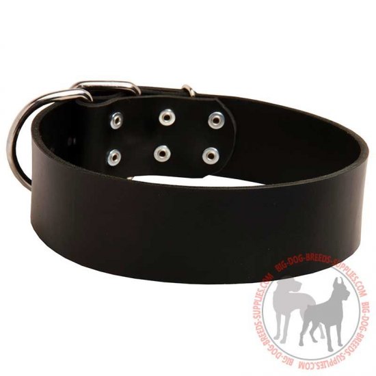 C5 - PRICE LEVEL 2 - Leather Dog Collar for Walking or Training