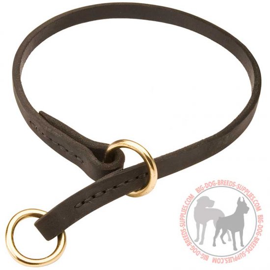 C95 - PRICE LEVEL 2 - Silent Choke Leather Dog Collar for Training