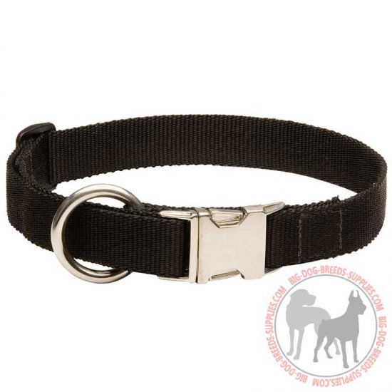 C98 - PRICE LEVEL 2 - All Weather Nylon Dog Collar for Training and Walking