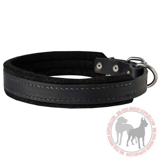 C2425 - PRICE LEVEL 2 - Training & Walking Leather Canine Collar Padded with Natural Felt