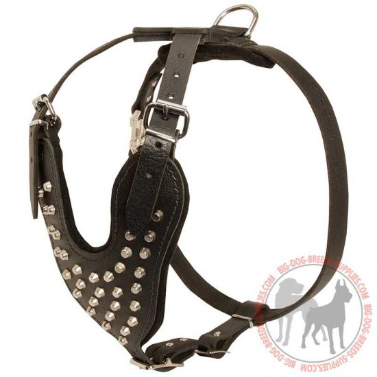H16 - PRICE LEVEL 2 - Strong Leather Harness with Nickel Pyramids for Daily Walking