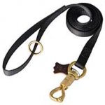 L99 - PRICE LEVEL 2 - Nylon Dog Leash for Walking and Obedience Training
