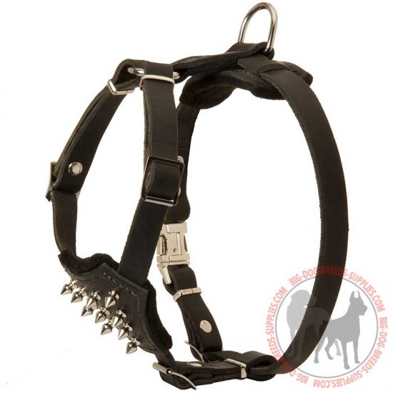 H23 - PRICE LEVEL 2 - Decorated Leather Dog Harness For Your Puppy