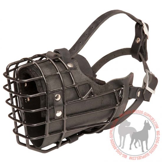 M58 - PRICE LEVEL 2 - New Wire Cage Leather Padded Dog Muzzle