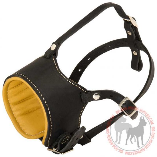 M63 - PRICE LEVEL 2 - Adjustable Padded Leather Dog Muzzle for Walking and Training