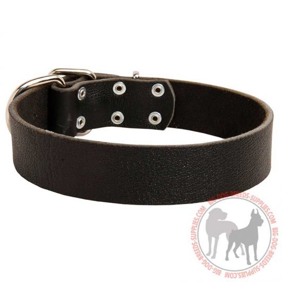 C4- PRICE LEVEL 2 - Practical Leather Canine Collar for Daily Activities