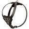 H25 - PRICE LEVEL 2 - Lightweight Dog Puppies Leather Harness for Walking and Training