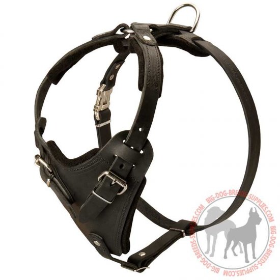 H1 - PRICE LEVEL 2 - Leather Harness with Wide Chest Plate