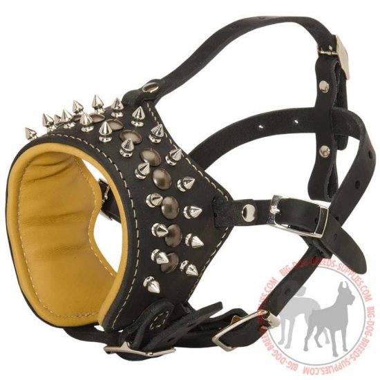 M61 - PRICE LEVEL 2 - Spiked Leather Canine Muzzle for No Bark Training