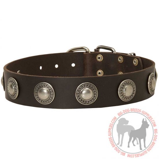 C73 - PRICE LEVEL 2 - Leather Dog Collar with Silver Conchos for Walking and Training