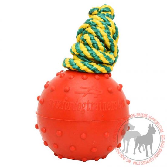 TT13 - PRICE LEVEL 2 - Solid Rubber Dog Water Ball Dotted Surface