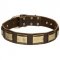 C88 - PRICE LEVEL 2 - Unusually Decorated Leather Dog Collar With Brass Plates