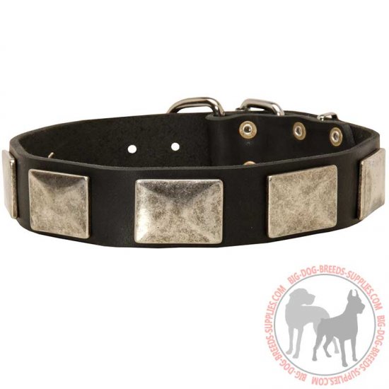 C83 - PRICE LEVEL 2 - Leather Dog Collar with Massive Nickel Plates Vintage Looking