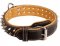 C444 - PRICE LEVEL 2 - Walking Nappa Leather Dog Collar with Spikes