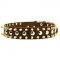 S57 - PRICE LEVEL 2 - Leather Dog Collar with Spikes and Studs