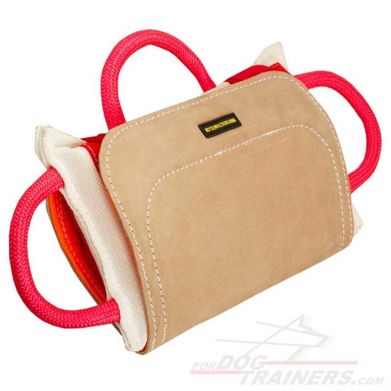 TE13L - PRICE LEVEL 2 - "Prof Bite Pillow" with Leather Cover