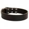 C4- PRICE LEVEL 2 - Practical Leather Canine Collar for Daily Activities