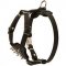 H23 - PRICE LEVEL 2 - Decorated Leather Dog Harness For Your Puppy