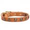 C113 - PRICE LEVEL 2 - Studded Puppy Leather Dog Collar