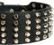 C94 - PRICE LEVEL 2 - 3 inch Studded Leather Dog Collar