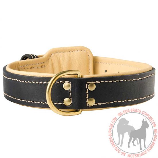C443 - PRICE LEVEL 2 - Nappa Padded Leather Dog Collar for Walking and Training