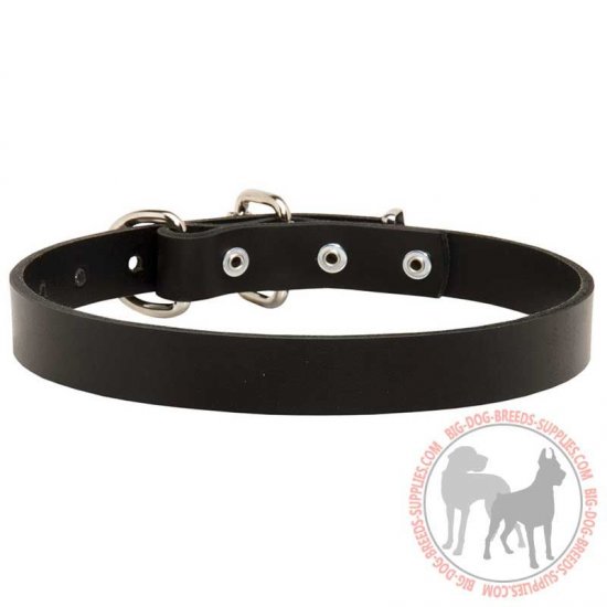 C2 - PRICE LEVEL 2 - Walking Smooth Leather Dog Collar for Every Day