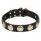 C108 - PRICE LEVEL 2 - Leather Dog Collar with Brass Circles