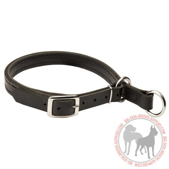 C1 - PRICE LEVEL 2 - Training Leather Slip Dog Collar w/h Solid Nickel Hardware