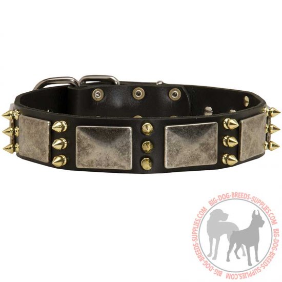 C87 - PRICE LEVEL 2 - Designed Leather Dog Collar For Stylish Pet Owners and Their Canines