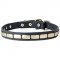 S25 - PRICE LEVEL 2 - Brass Plated Leather Dog Collar
