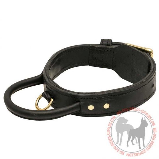 C33 - PRICE LEVEL 2 - Heavy-Duty Agitation Training Dog Collar with Handle