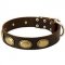 C103 - PRICE LEVEL 2 - Walking and Training Leather Collar with Brass Oval Plates