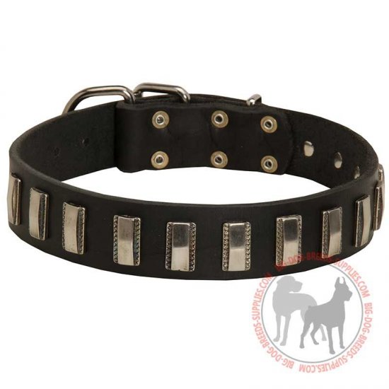 C90 - PRICE LEVEL 2 - Fashion Leather Dog Collar with Vertical Nickel Plates