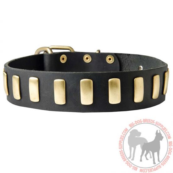 S26 - PRICE LEVEL 2 - Brass Plated Wide Leather Dog Collar