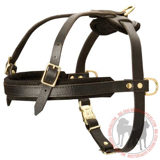 H5 - PRICE LEVEL 2 - Pulling and Tracking Leather Dog Harness