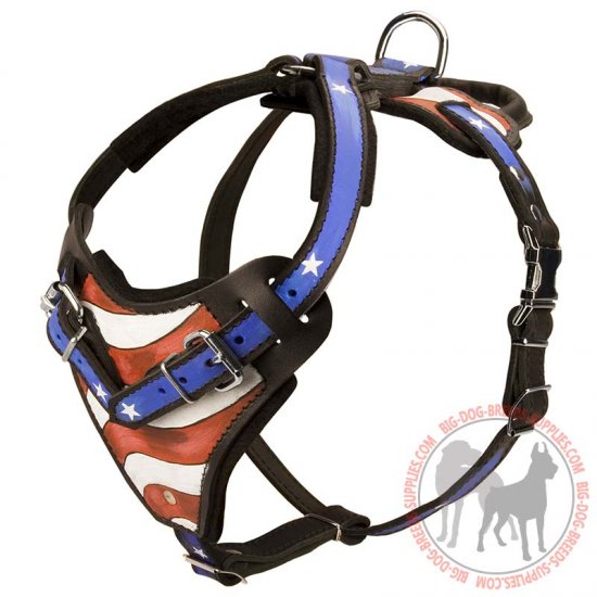 H1AP - PRICE LEVEL 2 - Training Leather Handpainted Dog Harness