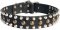 S56 - PRICE LEVEL 2 - Leather Dog Collar with Pyramids and Studs