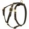 H7 - PRICE LEVEL 2 - Leather Dog Harness for Tracking, Walking and Training