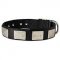 C274 - PRICE LEVEL 2 - All Weather Nylon Dog Collar With Vintage Massive Plates
