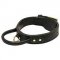 C33 - PRICE LEVEL 2 - Heavy-Duty Agitation Training Dog Collar with Handle