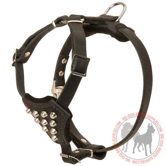 H24 - PRICE LEVEL 2 - Leather Studded Dog Harness for Puppy Walking