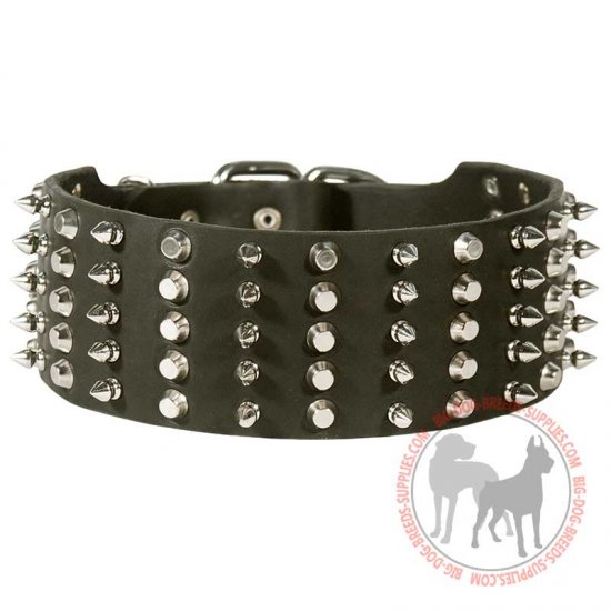 C91 - PRICE LEVEL 2 - Extra Wide Decorated Leather Dog Collar