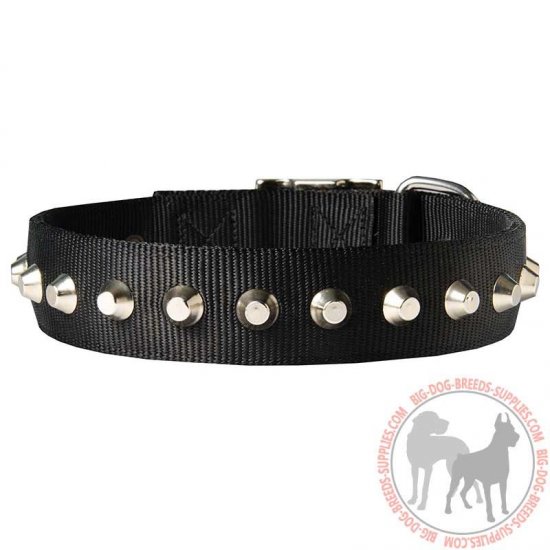C275 - PRICE LEVEL 2 - Beautiful Wide Nylon Dog Collar With Nickel Pyramids